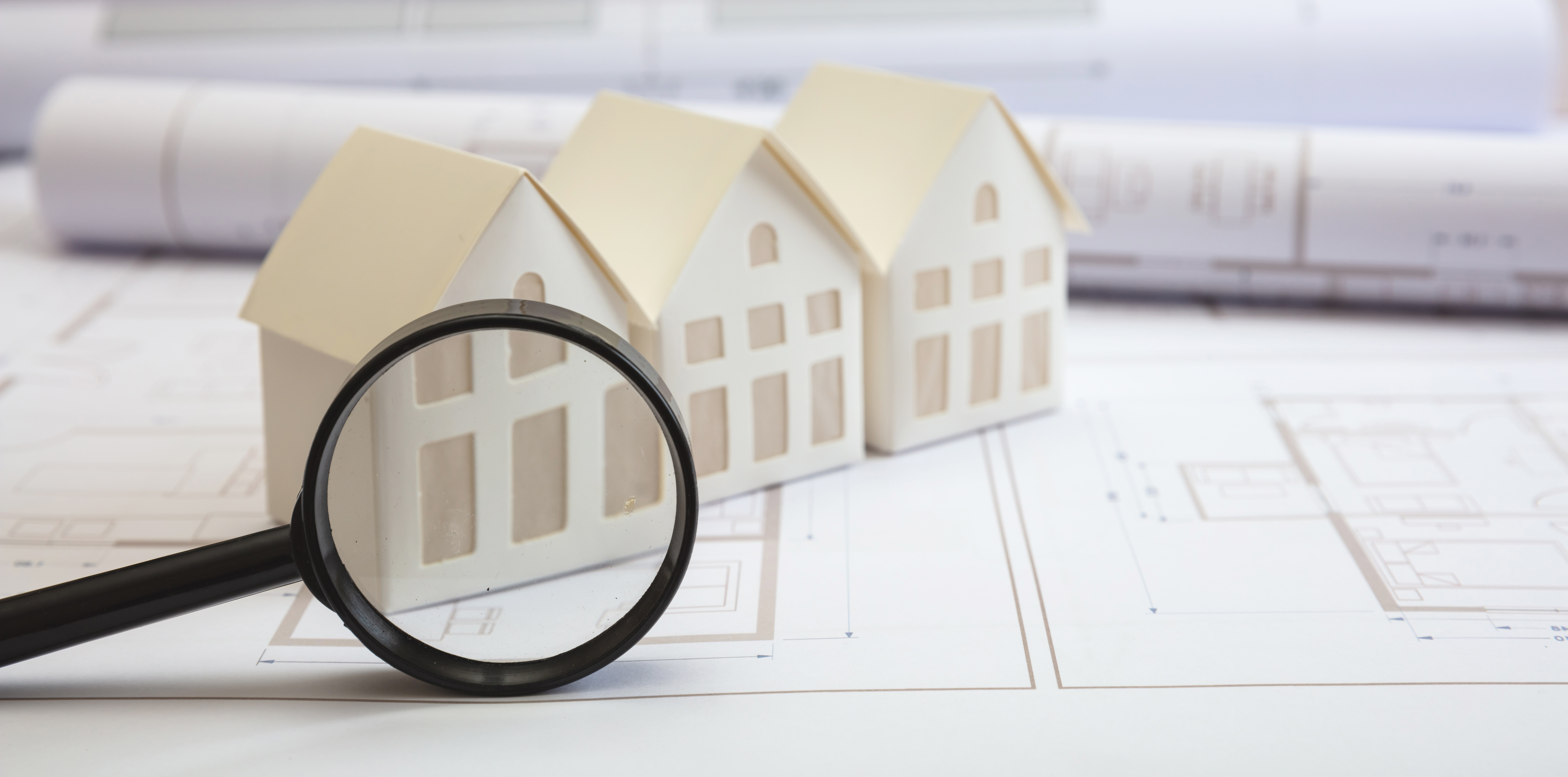 Home inspection professional